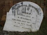image of grave number 865575